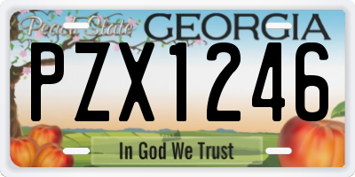 GA license plate PZX1246