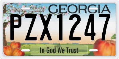 GA license plate PZX1247