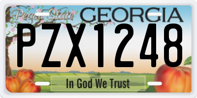GA license plate PZX1248