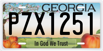 GA license plate PZX1251