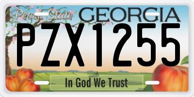 GA license plate PZX1255