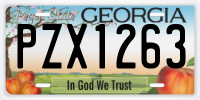 GA license plate PZX1263