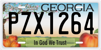 GA license plate PZX1264