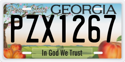 GA license plate PZX1267
