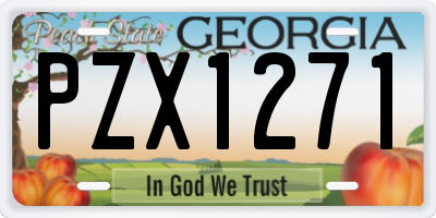 GA license plate PZX1271