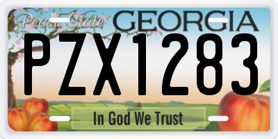 GA license plate PZX1283
