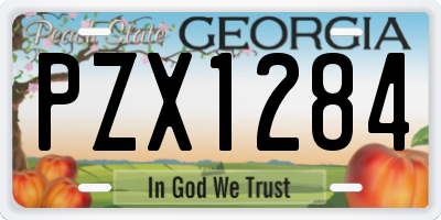 GA license plate PZX1284