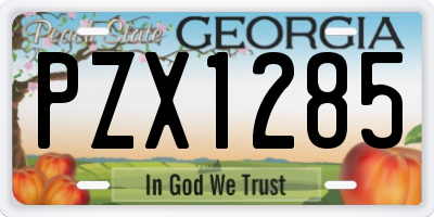 GA license plate PZX1285
