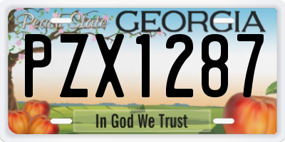 GA license plate PZX1287