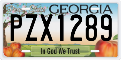 GA license plate PZX1289