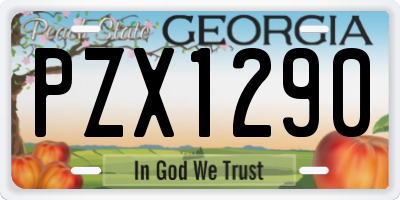 GA license plate PZX1290