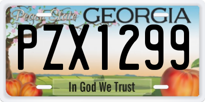 GA license plate PZX1299