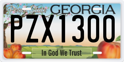 GA license plate PZX1300