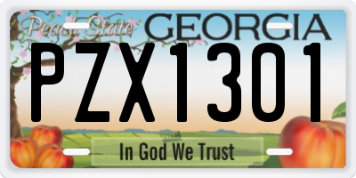 GA license plate PZX1301