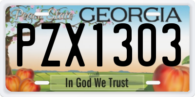 GA license plate PZX1303