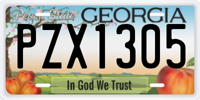 GA license plate PZX1305