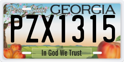 GA license plate PZX1315
