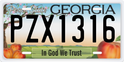 GA license plate PZX1316