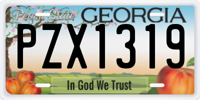 GA license plate PZX1319