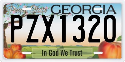 GA license plate PZX1320