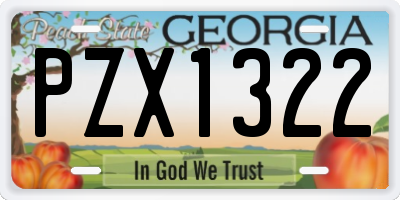 GA license plate PZX1322