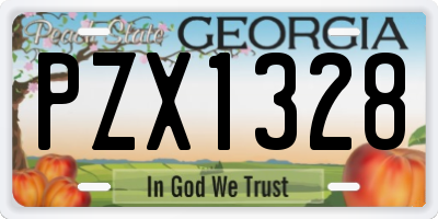 GA license plate PZX1328