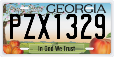 GA license plate PZX1329