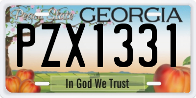 GA license plate PZX1331