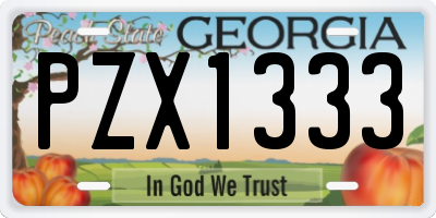 GA license plate PZX1333