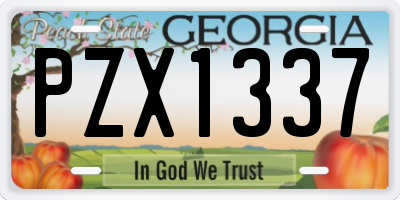 GA license plate PZX1337