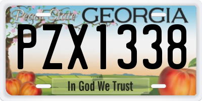 GA license plate PZX1338