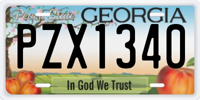 GA license plate PZX1340