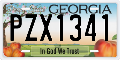 GA license plate PZX1341