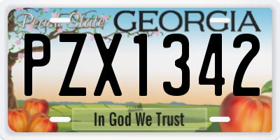 GA license plate PZX1342