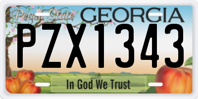GA license plate PZX1343