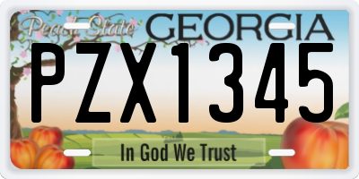 GA license plate PZX1345