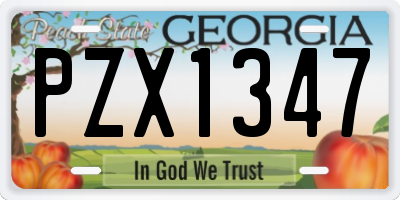 GA license plate PZX1347