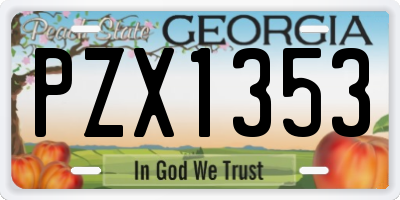 GA license plate PZX1353