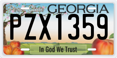 GA license plate PZX1359