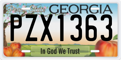 GA license plate PZX1363