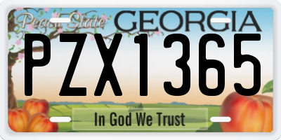 GA license plate PZX1365