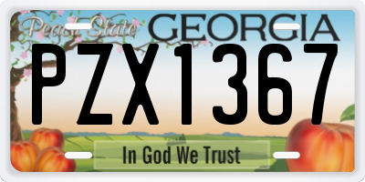 GA license plate PZX1367