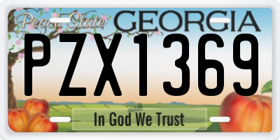 GA license plate PZX1369