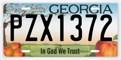 GA license plate PZX1372