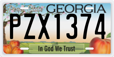 GA license plate PZX1374