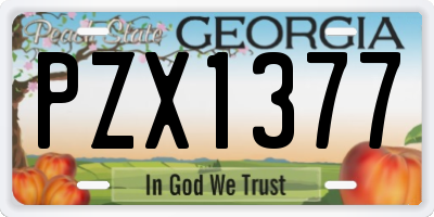 GA license plate PZX1377