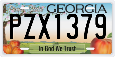 GA license plate PZX1379