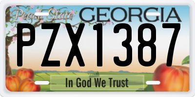 GA license plate PZX1387