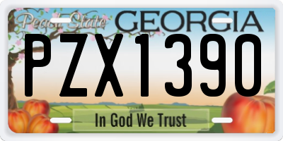 GA license plate PZX1390