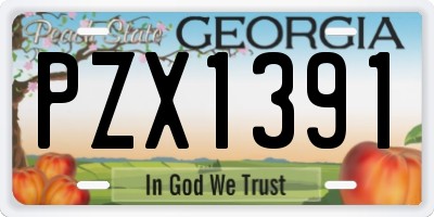 GA license plate PZX1391